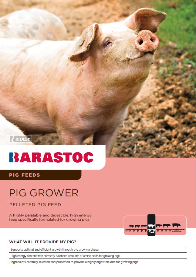 Pig feed product description with a pig in the background