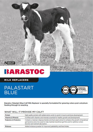 Black and white calf image with product information about milk replacer.