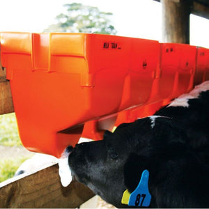 Cow drinking from an orange milk tank with a blurred background