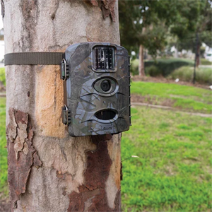 Camouflage trail camera attached to a tree in an outdoor setting