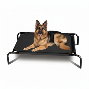 German Shepherd lying on a black elevated pet bed with a white background