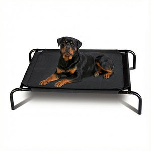 Rottweiler lying on a black elevated pet bed with a white background