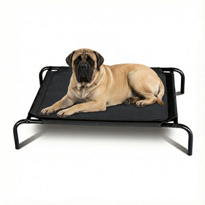 Mastiff lying on a black elevated pet bed with a white background