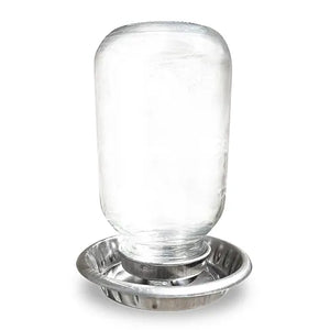 Clear glass feeder with stainless steel base on a white background