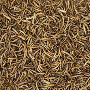 14500- Supplementation-Chicken Treat - Dried Mealworms-100g - Austral Ag