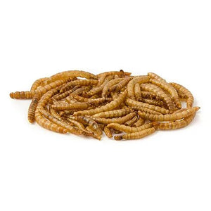 14501- Supplementation-Chicken Treat - Dried Mealworms-250g - Austral Ag