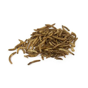14502- Supplementation-Chicken Treat - Dried Mealworms-750g - Austral Ag