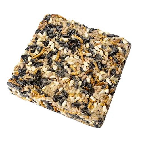 14506 - Supplementation - Chicken Treat - Flock Blocks with Dried Mealworms - Mealworms & Seeds - Austral Ag