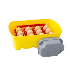 Yellow egg incubator with red interior holding eggs on a white background