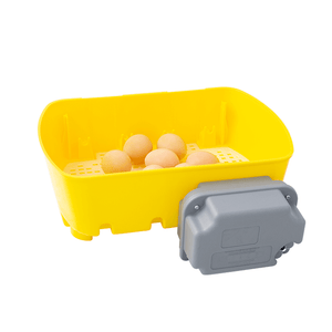 Yellow egg incubator with eggs on a white background