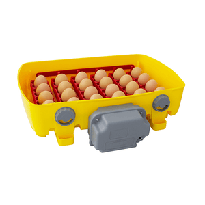 Yellow egg incubator with red interior holding eggs on a white background