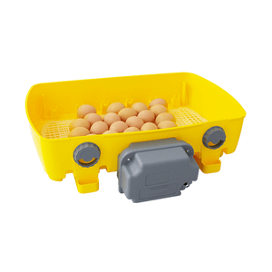 Yellow egg incubator with eggs on a white background