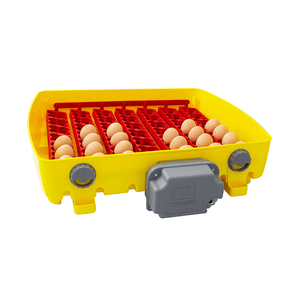 Yellow and red egg incubator with eggs on a white background