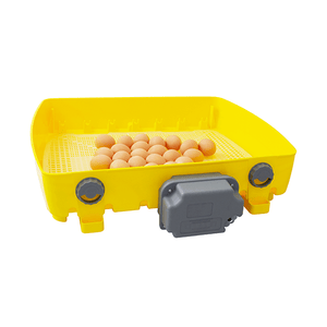 Yellow egg incubator with eggs on a white background