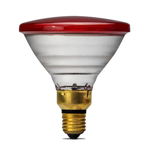 Red-reflector halogen lamp on a white background