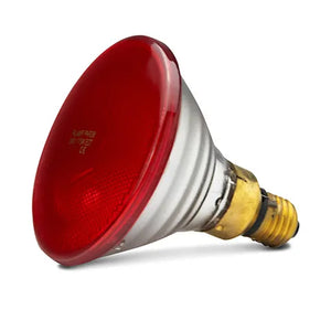 Red light bulb on a white background