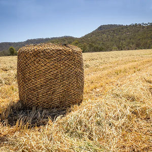 Hay bale in a field with mountains in the background