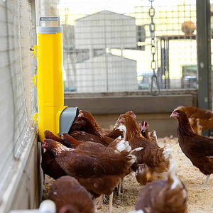 Bainbridge Chook Tower Feeder Animal Accessories Bainbridge Pty Ltd