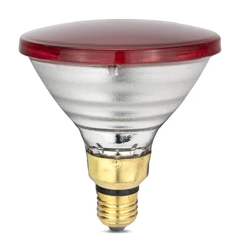Infrared Heat Lamp Bulb 50W