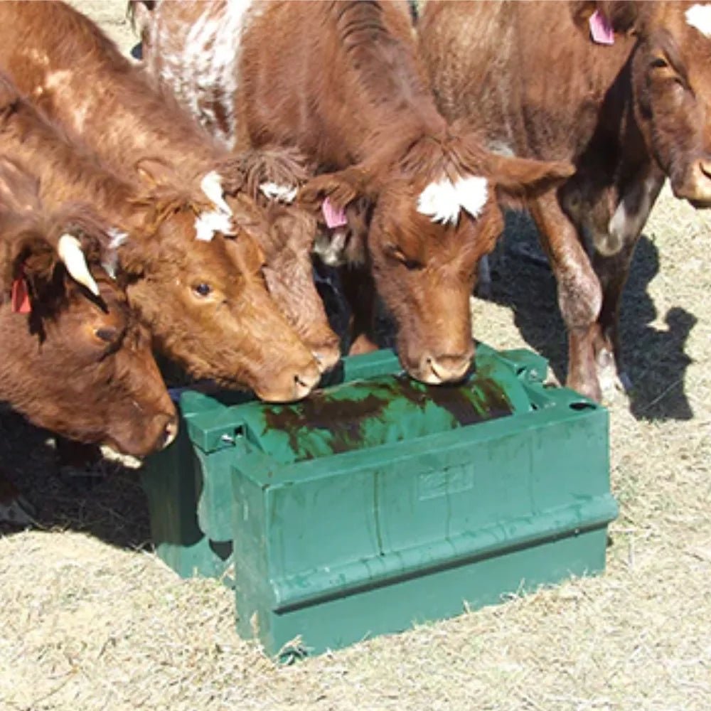 16181 - Livestock - Molasses Licker Drum - (complete) - Green - Austral Ag