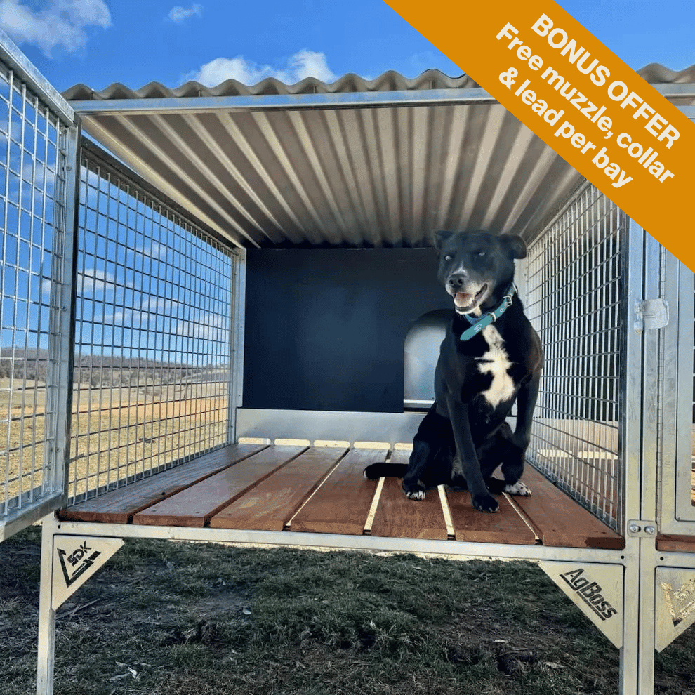 18521- Animal Accessories-SDK Raised Dog Kennel - Portable Outdoor Steel Cage with Roof - Add On Bay - Austral Ag