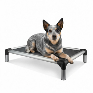 Blue Cattle Dog lying on a chew resistant elevated dog bed with a white background