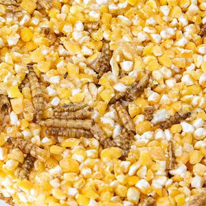 18992 - Supplementation - Chicken Treat - Flock Blocks with Dried Mealworms - Mealworms & Corn - Austral Ag