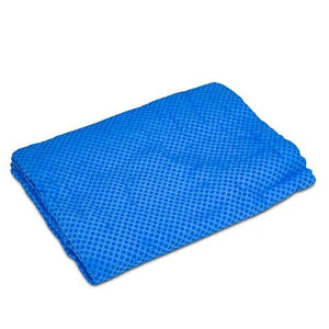 19157- Hardware-Chamois Drying Cloth Towel-Blue - Austral Ag