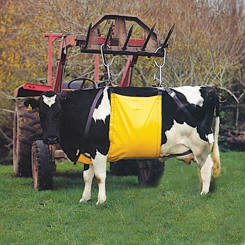 Supreme Cow Lifter Standard Size