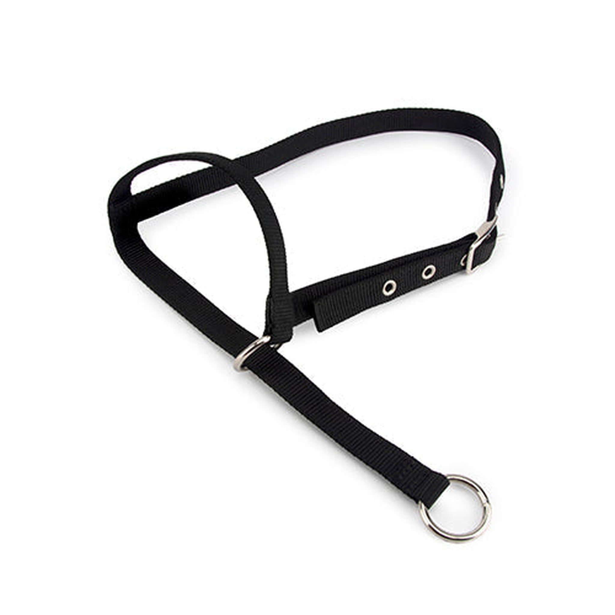 Halter Leading Calf Animal Accessories Bainbridge Pty Ltd Black