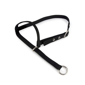 Halter Leading Cow Animal Accessories Bainbridge Pty Ltd