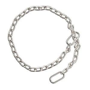 Silver chain leash with a clasp on a white background