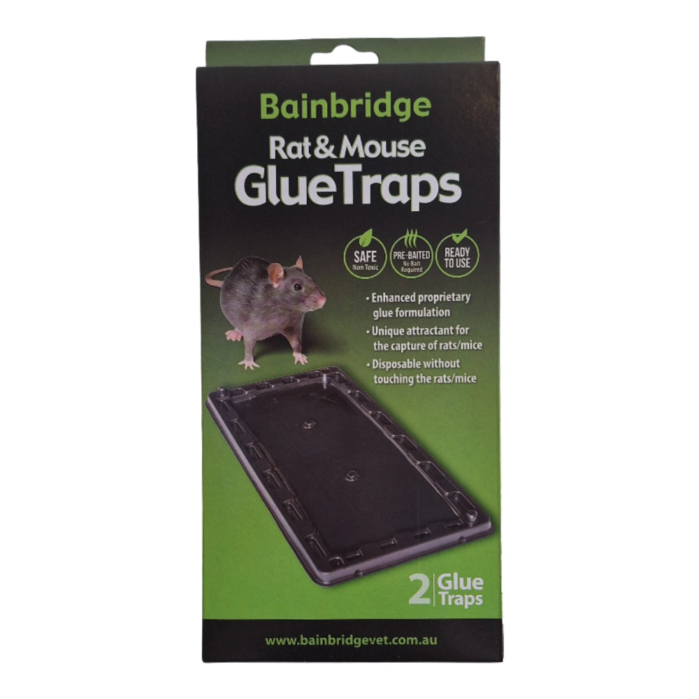 Bainbridge Rat & Mouse Glue Traps packaging with a rat illustration on a green background