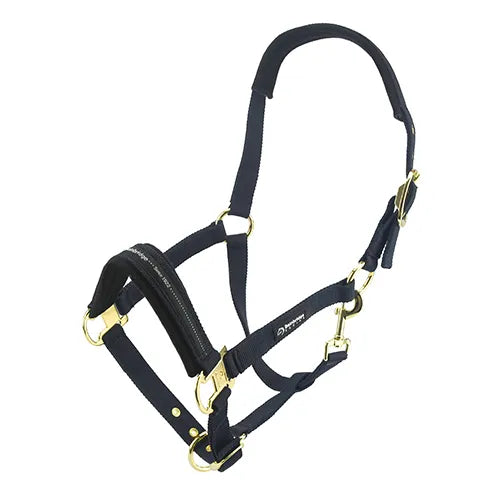Premium Horse Halter Cob Size