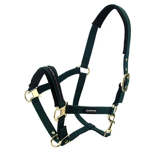 Premium Horse Halter Cob Size