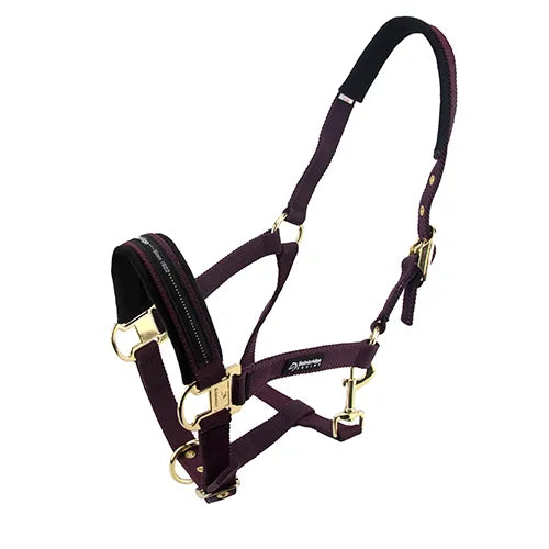 Premium Horse Halter Full Size