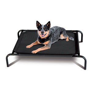 Dog in a flea resistant elevated mesh bed