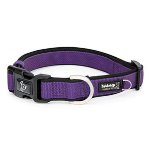 Premium Sport Dog Collar with Neoprene Animal Accessories Bainbridge Pty Ltd XS Purple