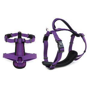 Premium Sport Dog Harness with Safety Handle Animal Accessories Bainbridge Pty Ltd XL Purple
