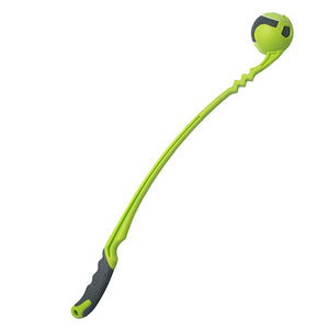 Green and gray toy with a long flexible stick and ball at the end on a white background