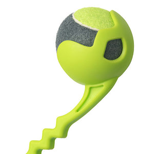 Green dog toy resembling a tennis ball with a handle on a white background