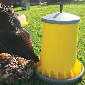 Yellow poultry feeder with chickens around it on a grassy area