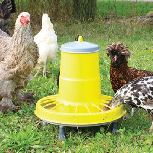 Yellow poultry feeder with chickens around it in a grassy area