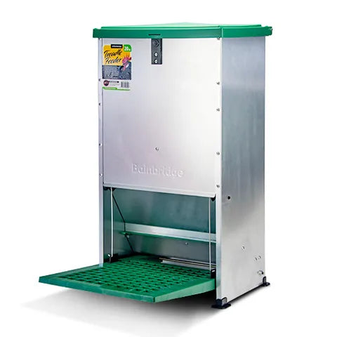 Metallic bird feeder with green base and top on a white background