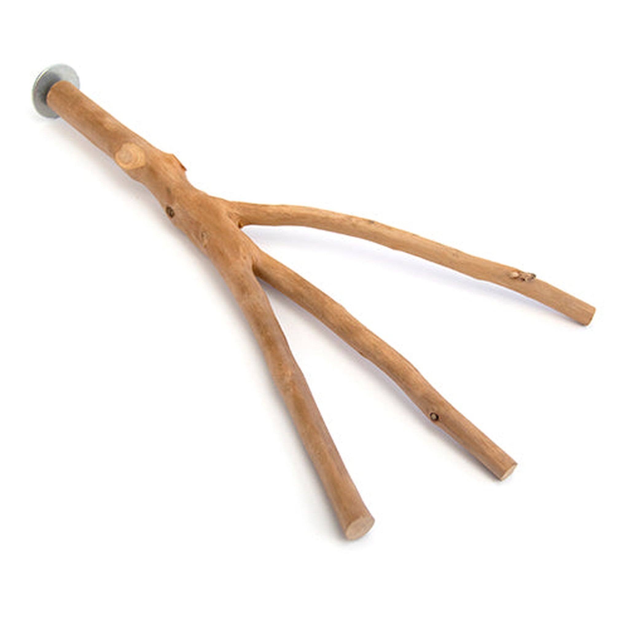 Bird Perch Multi Branch Animal Accessories Bainbridge Pty Ltd 40cm x 4cm