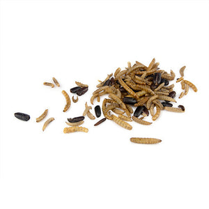 Dried Mealworms & Bug Mix Supplementation Bainbridge Pty Ltd 750g