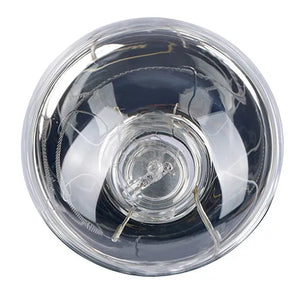 clear infrared spot globe bulb on a white background