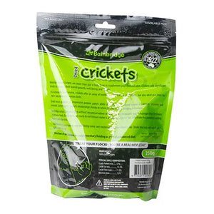 Packaging of Bainbridge Crickets on a white background