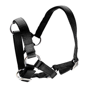 Halter for Alpacas Animal Accessories Bainbridge Pty Ltd Black
