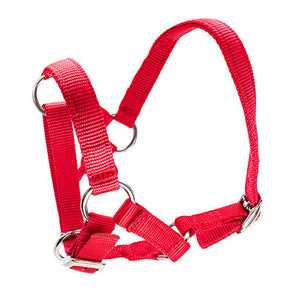 Halter for Alpacas Animal Accessories Bainbridge Pty Ltd Red
